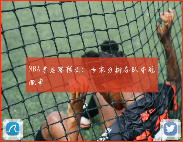 NBA季后赛预测:专家分析各队夺冠概率